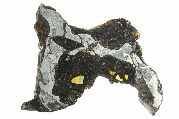 Pallasite Meteorite ( g) Slice - NWA #269631